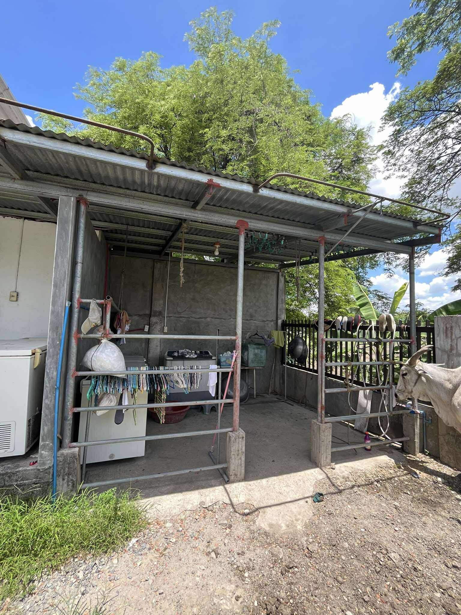 501325117_551553511345396_6744890005736753783_n