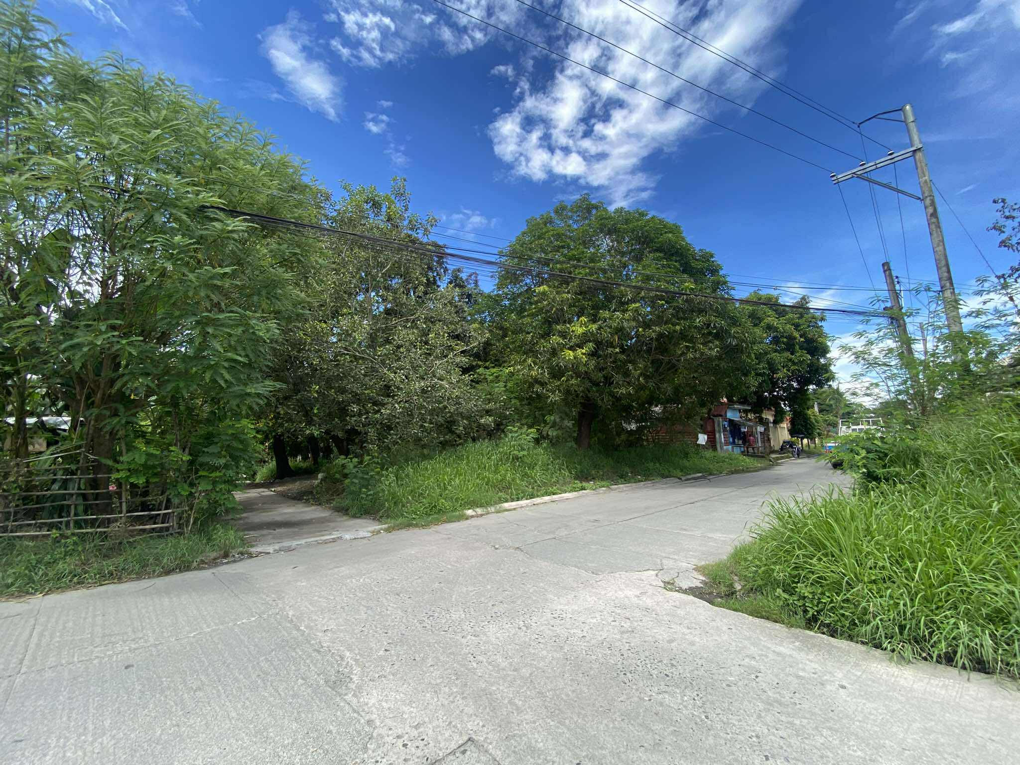 531610955_1466977737776851_3426404965589308351_n