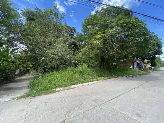 SAN SEBASTIAN VILLAGE LOT