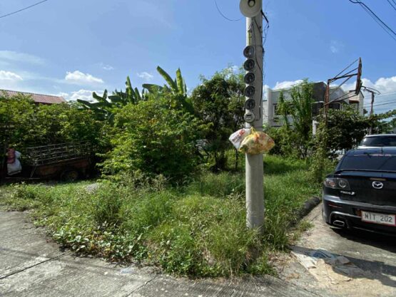 STA. MONICA HEIGHTS LOT