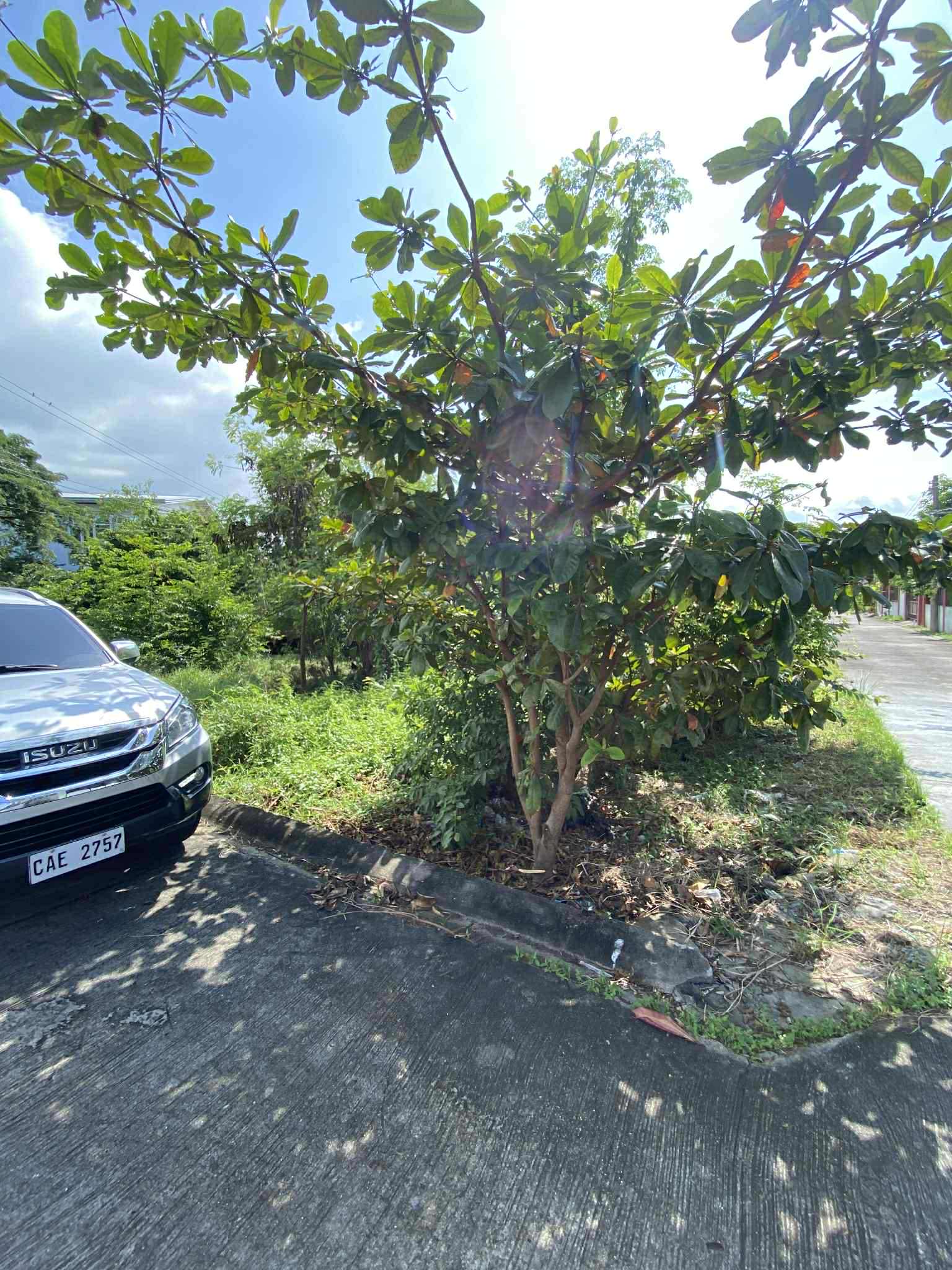 540928879_1305956734587766_8644561031520872672_n