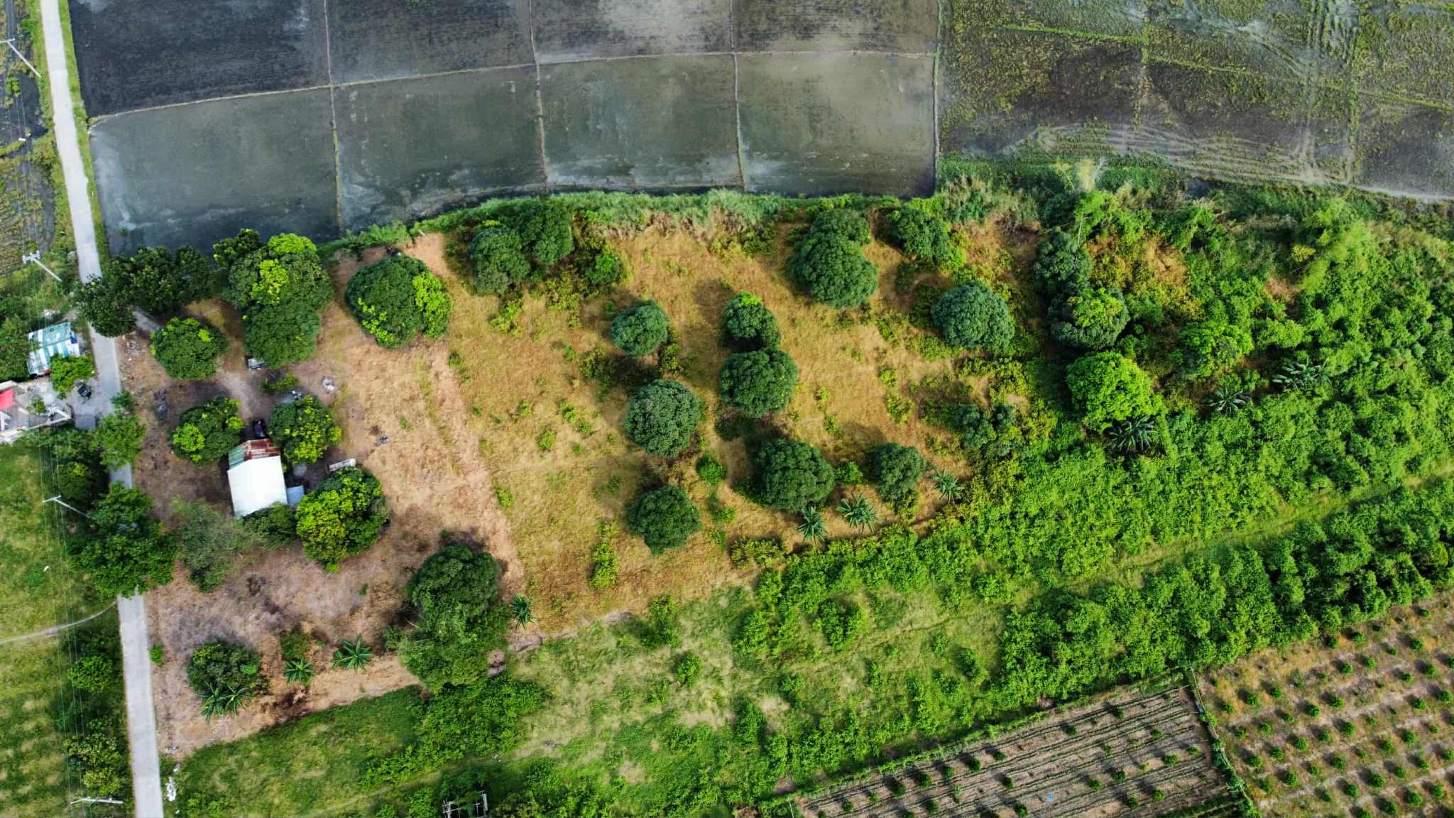 572328243_673540572480022_7181074519066668676_n