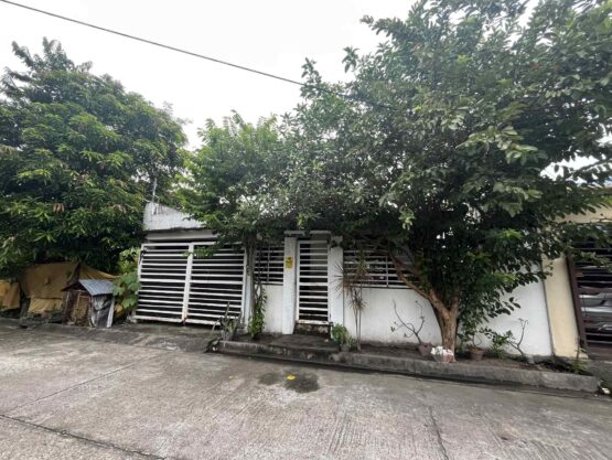 HOUSE AND LOT – SKYLAND