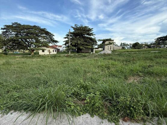 RESIDENTIAL LOT [Installment]