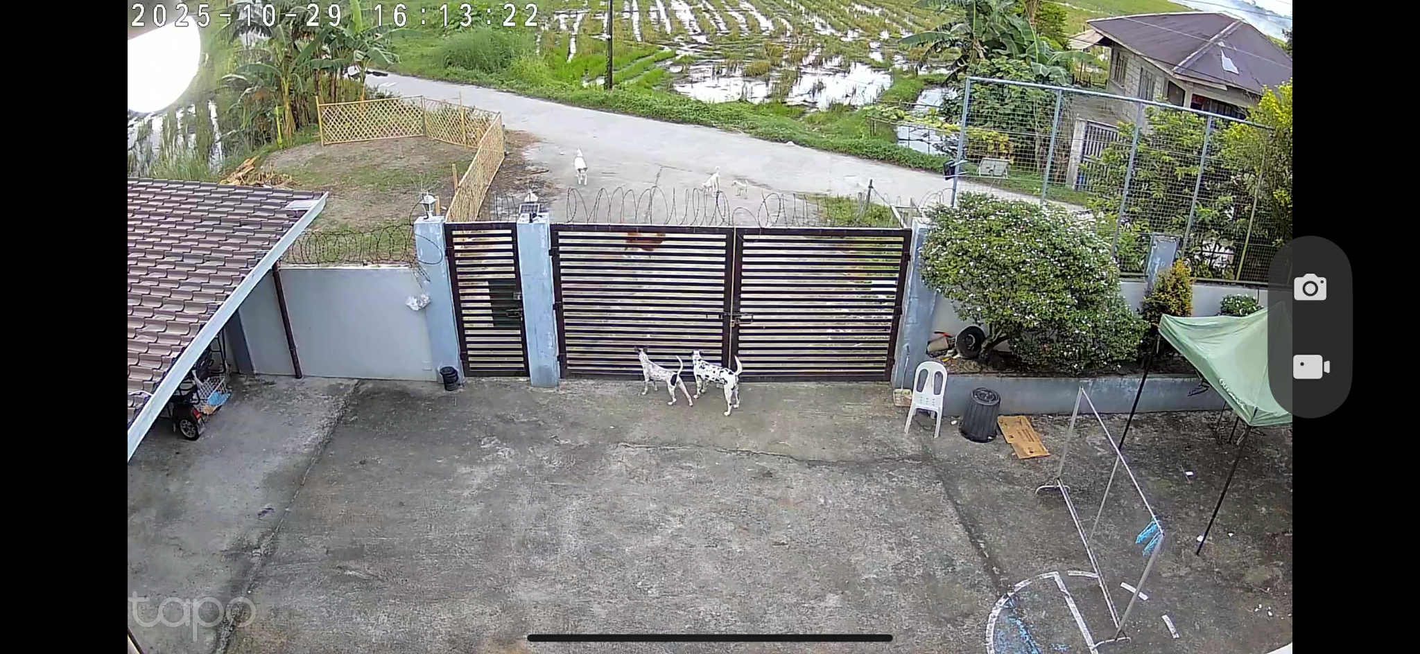 a357ecf3-bec2-4430-b373-0a366bd47d73